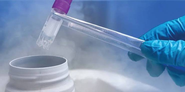 Fertility Preservation Treatment in Rewari